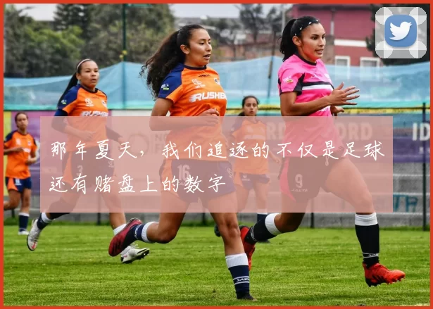 那年夏天,我们追逐的不仅是足球还有赌盘上的数字