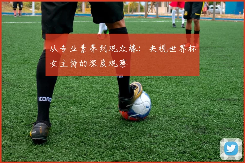 从专业素养到观众缘:央视世界杯女主持的深度观察