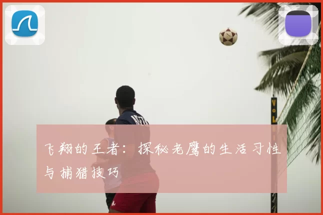 飞翔的王者:探秘老鹰的生活习性与捕猎技巧