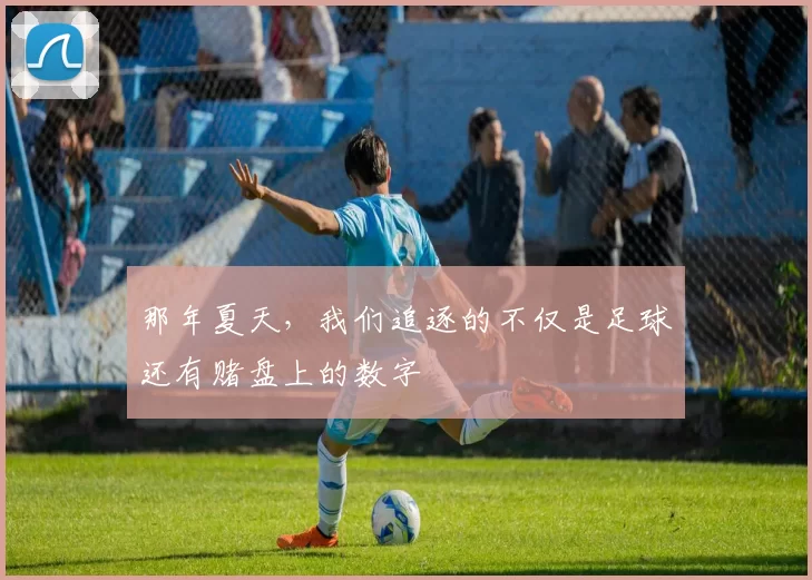那年夏天,我们追逐的不仅是足球还有赌盘上的数字
