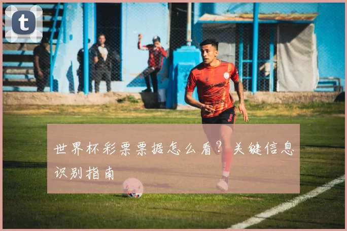 世界杯彩票票据怎么看?关键信息识别指南