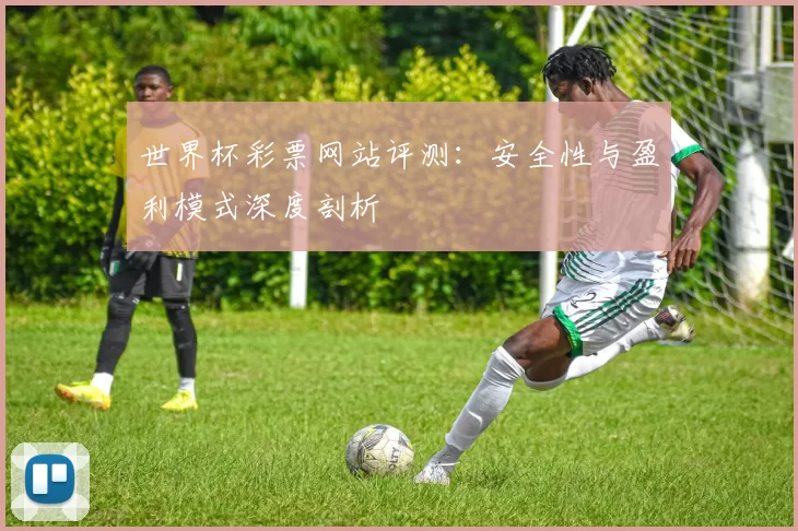 世界杯彩票网站评测:安全性与盈利模式深度剖析