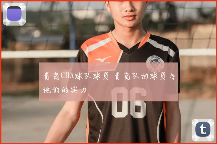 青岛CBA球队球员 青岛队的球员与他们的实力