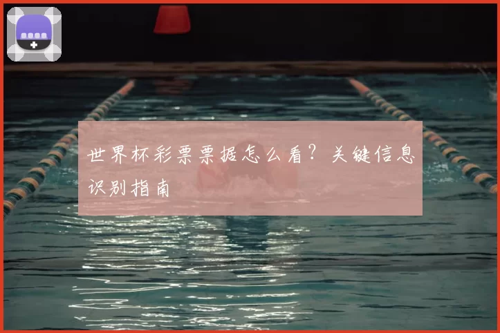 世界杯彩票票据怎么看?关键信息识别指南