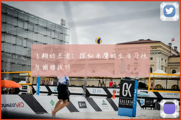 飞翔的王者:探秘老鹰的生活习性与捕猎技巧