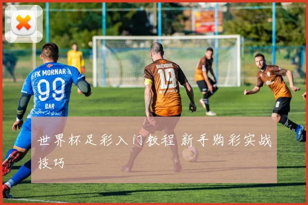 世界杯足彩入门教程 新手购彩实战技巧