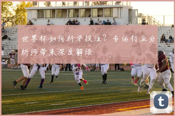 世界杯如何科学投注?专访行业分析师带来深度解读