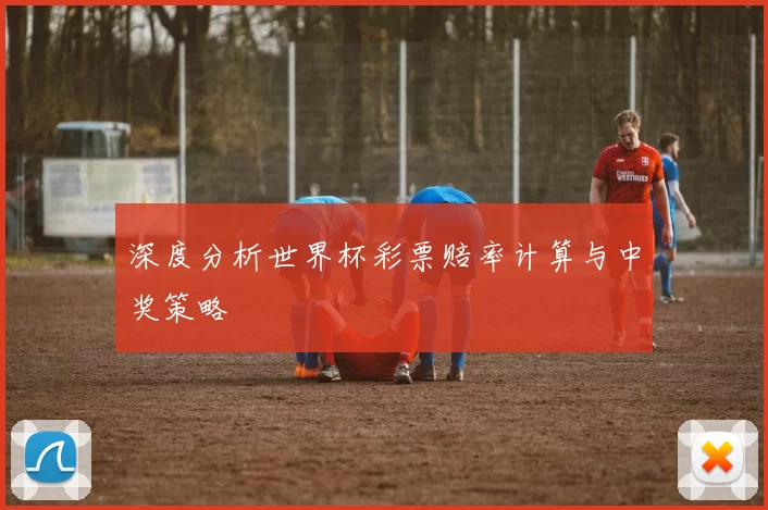 深度分析世界杯彩票赔率计算与中奖策略