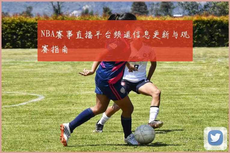 NBA赛事直播平台频道信息更新与观赛指南