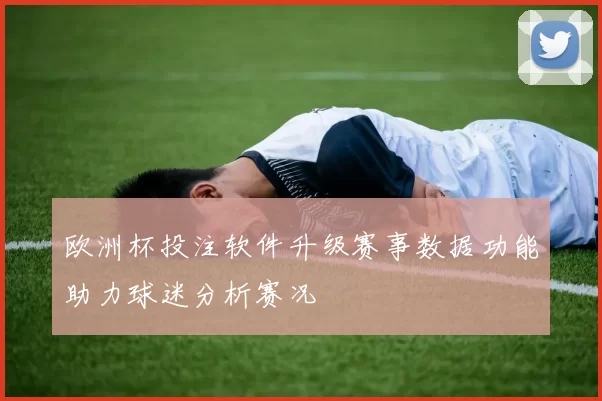 欧洲杯投注软件升级赛事数据功能助力球迷分析赛况