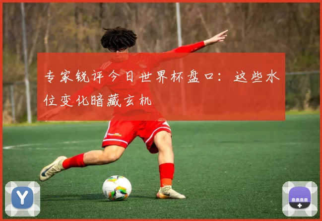 专家锐评今日世界杯盘口：这些水位变化暗藏玄机