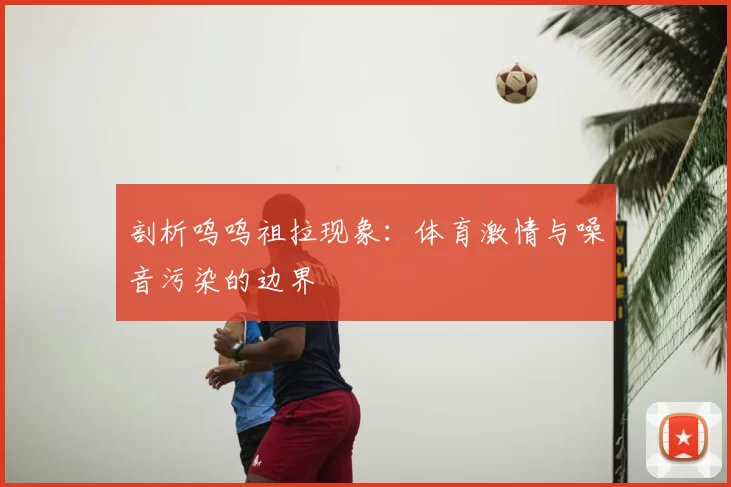 剖析呜呜祖拉现象:体育激情与噪音污染的边界