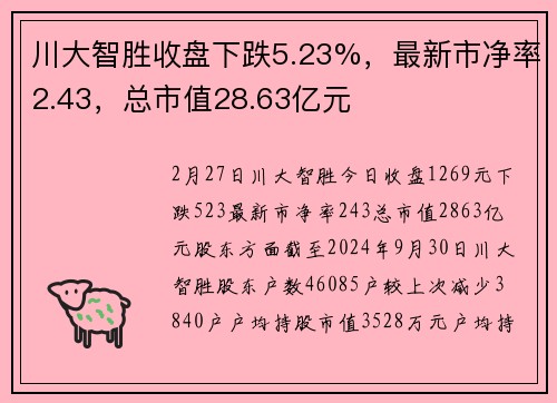 川大智胜收盘下跌5.23%，最新市净率2.43，总市值28.63亿元