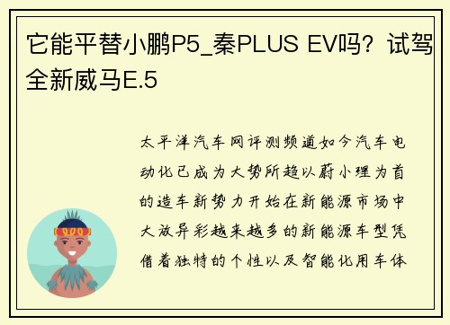 它能平替小鹏P5_秦PLUS EV吗？试驾全新威马E.5