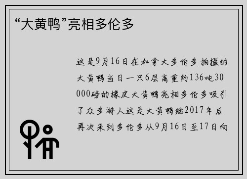 “大黄鸭”亮相多伦多